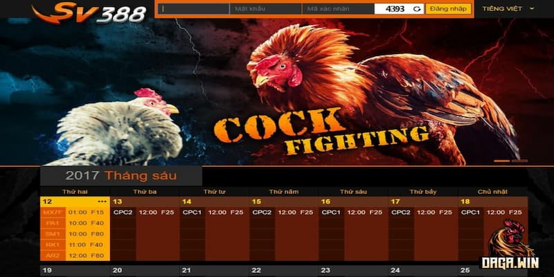 Các loại hình đá gà trực tiếp SV388?