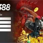 Link truy cập Sv388 không bị chặn