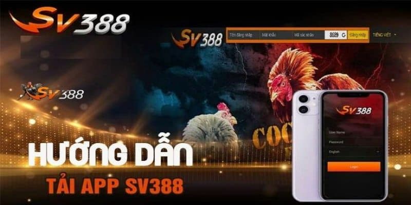 Quy trình tải app Sv388 trên hai hệ điều hành
