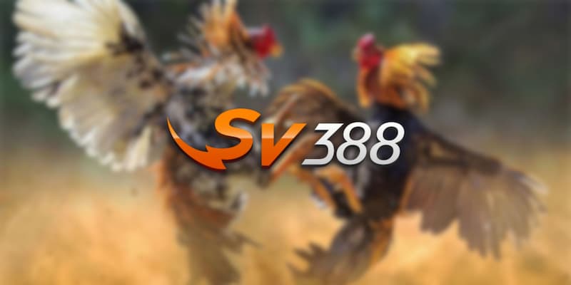 Tổng hợp game cá cược Sv388